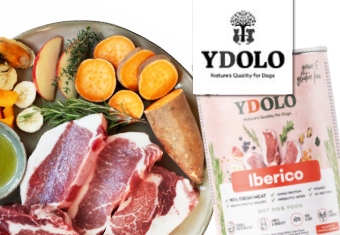 YDOLO Nassfutter für Hunde