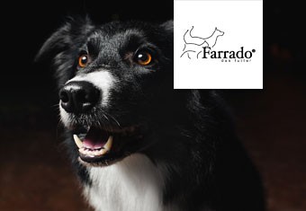 Farrado Trockenfutter für Hunde