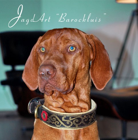antibell halsband kleine hunde Antibell Halsband für Hunde