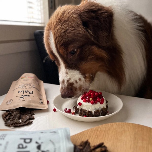 Pala No.4 Hase, Hering & Lachs Trockenbarf Hundefutter als Leckerli