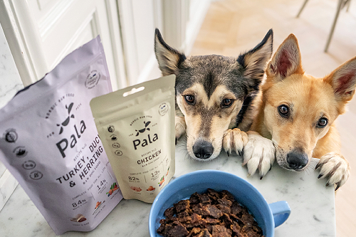 Hunde warten auf ihre leckere Pala Trockenbarf Mahlzeit