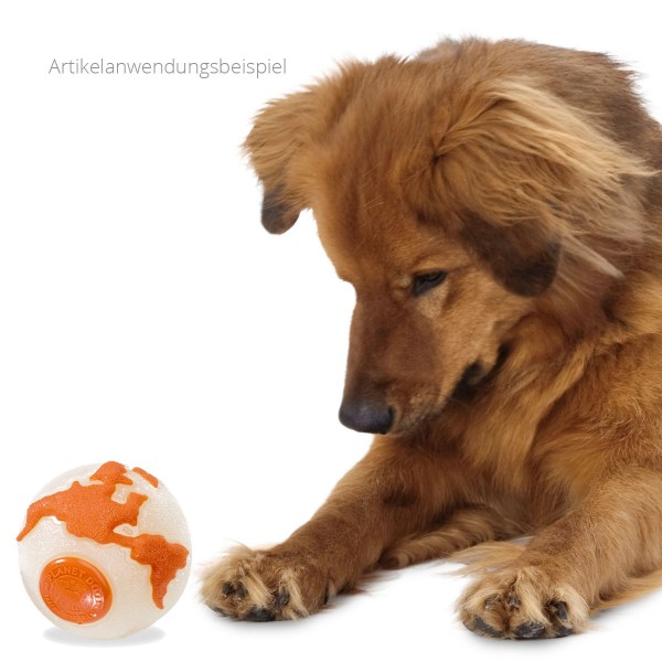 Planet Dog Orbee Tuff Ball orange - Hund beim Spielen