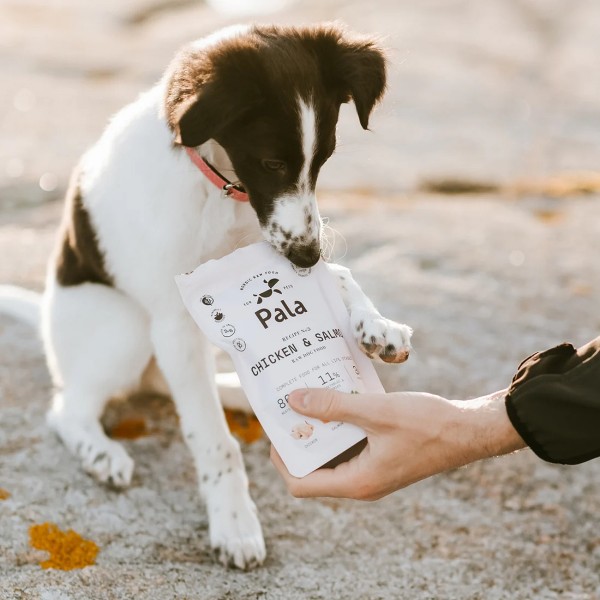 Pala No.2 Huhn & Lachs Trockenbarf Hundefutter - Trainingsbelohnung mit Pala Trockenfutter