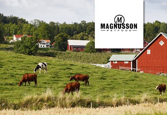 Magnusson Trockenfutter für Hunde
