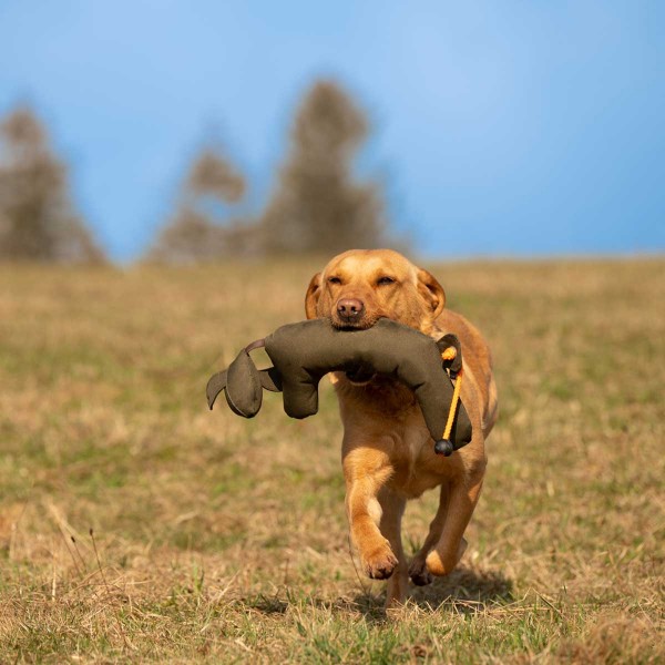 Hasenkörper-Hundedummy - Hasendummy in Aktion 3