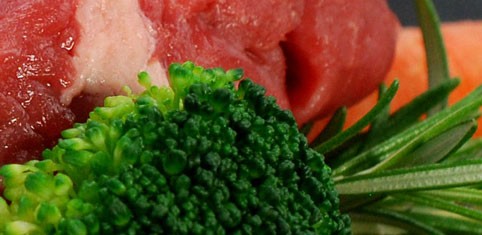 Fleischdose und Wurst für Hunde