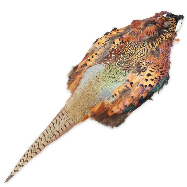 Fasanenfell zum präparieren von Dummys