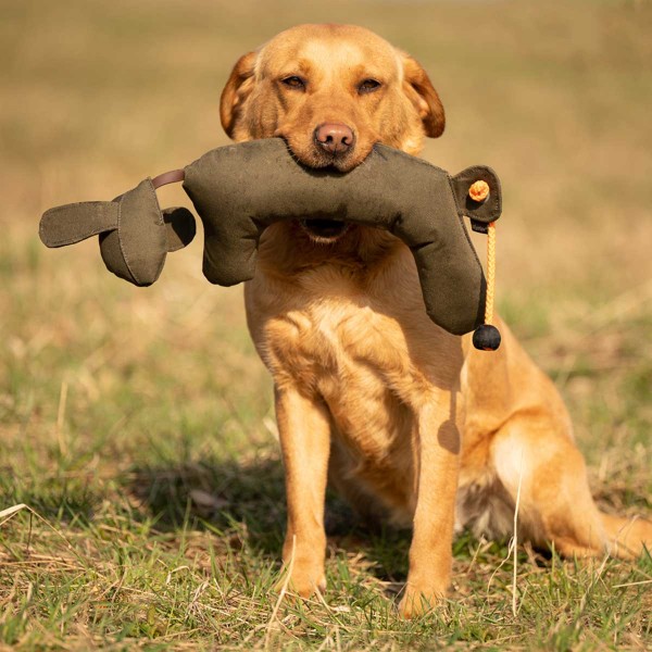 Hasenkörper-Hundedummy - Hasendummy in Aktion 2