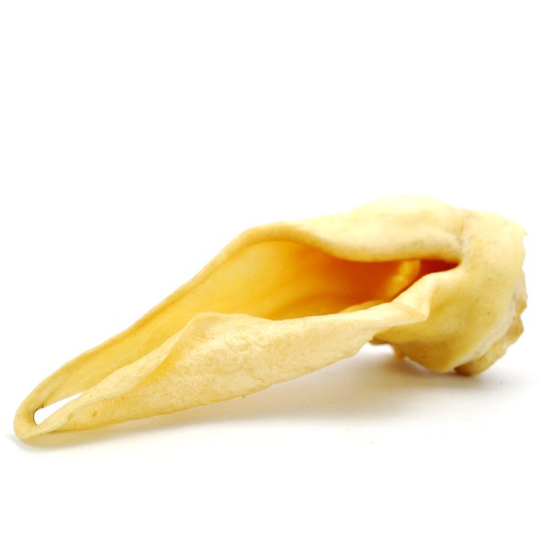 Getrocknete Hirschohren - Wild Kauartikel für Hunde