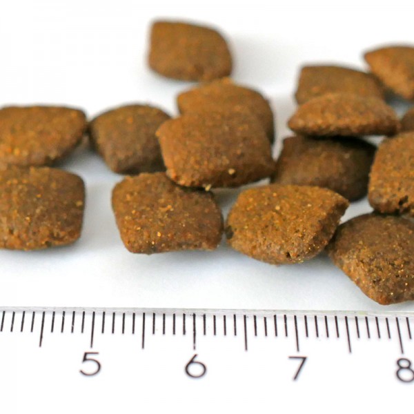 Celtic Connection Lachs mit Forelle 6 Süsskartoffeln - (Pelletgröße)