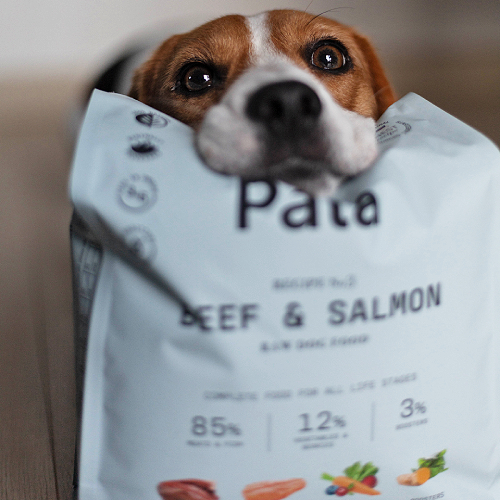 Hund mit Pala Hundefutter Packung