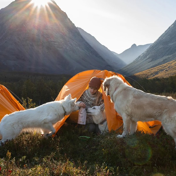 Pala No.6 Pute, Ente & Hering Trockenbarf Hundefutter - als Barf-Ersatz für Camping und Urlaub