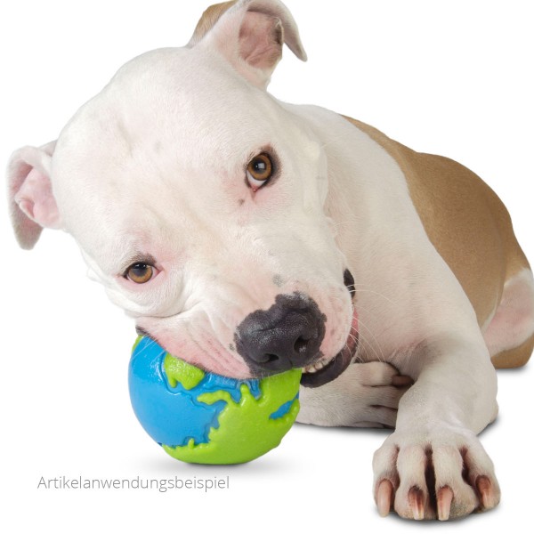 Planet Dog Orbee Tuff Ball - Kauspielzeug für Hunde - Hund beim Kauen