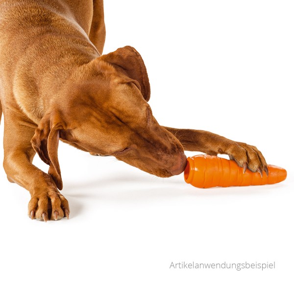 Planet Dog Karotte - Kauspielzeug für Hunde - Anwendung