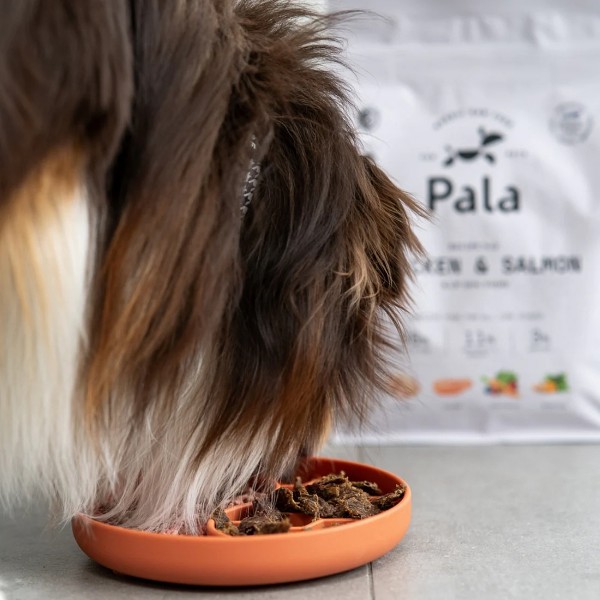 Pala No.2 Huhn & Lachs Trockenbarf Hundefutter Fütterung Bild 2