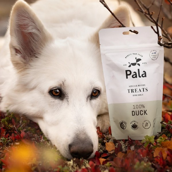 Pala Treats 100% Duck / Ente 100g Packung - neben Hund stehend