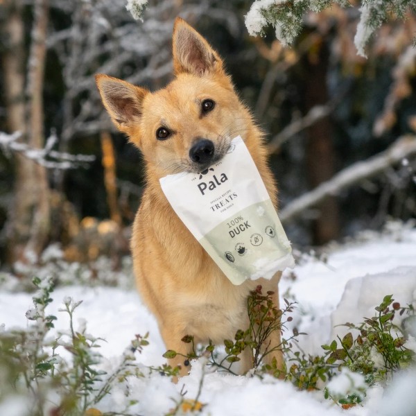 Pala Treats 100% Duck / Ente 100g Packung - Hund mit Leckerlis
