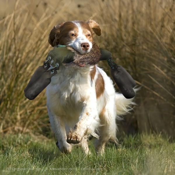 Flexibler Wild-Dummy Anwendung mit 4x 250g Dummy