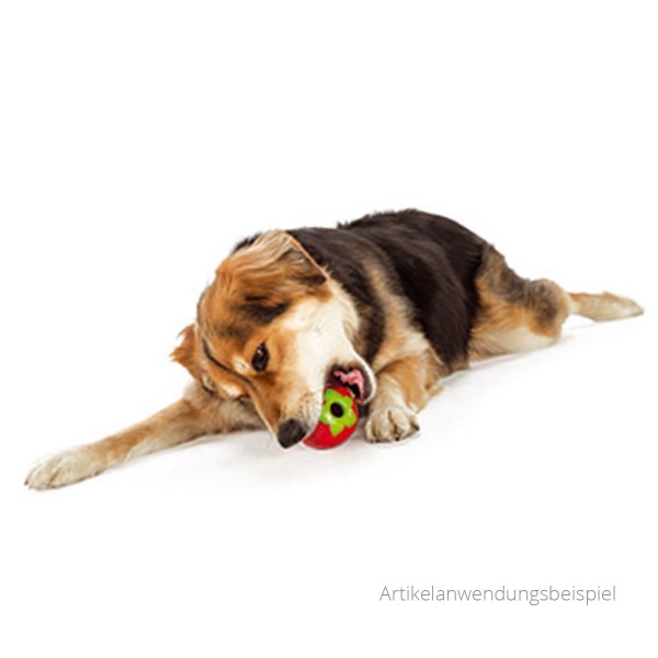 Planet Dog Erdbeere - Kauspielzeug für Hunde - Anwendung