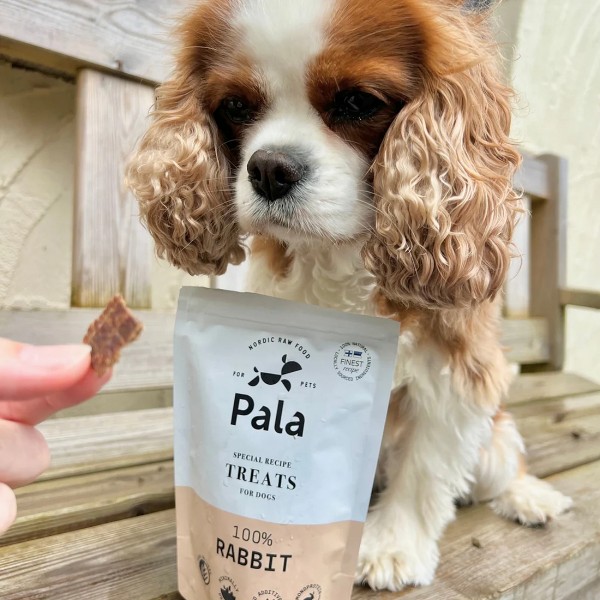 Pala Treats 100% Rabbit / Kaninchen - Hund neben 100g Packung (Bild 2)