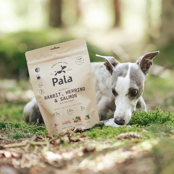 Pala No.4 Hase, Hering & Lachs Trockenbarf 100g Packung - ideal für Unterwegs