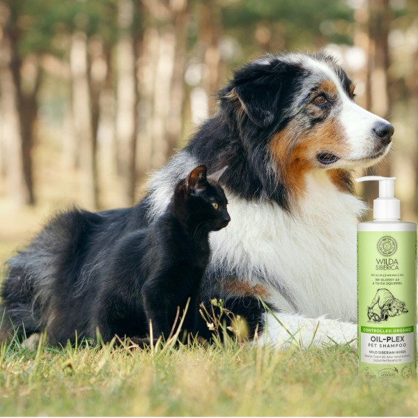 Fellpflege - Wilda Siberica - Oil Plex Shampoo - Tiershampoo bei trockenen, spröden Fell 2
