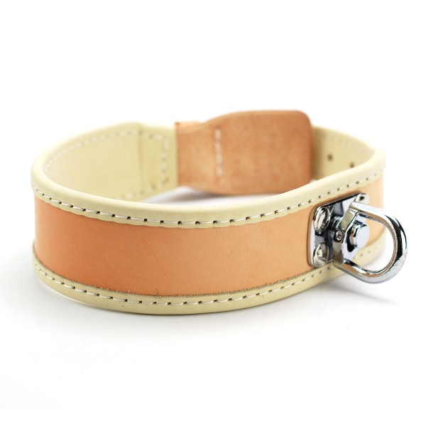 Fährten- und Schweisshalsband aus Leder (Bild 2)