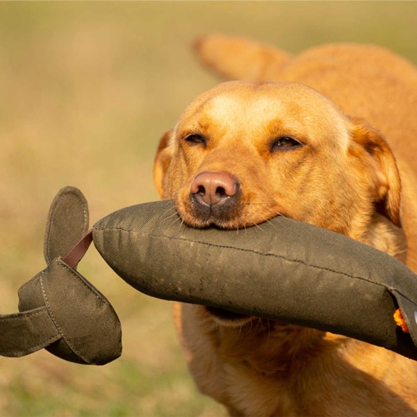 Hasenkörper-Hundedummy - Hasendummy in Aktion 1