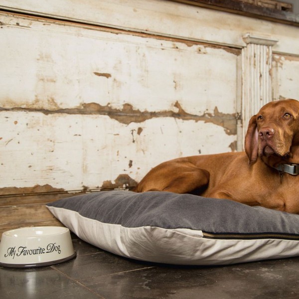 Hundenapf "My Favourite Dog" Futternapf aus Keramik (Anwendung)