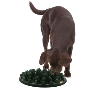 Northmate Futternapf green