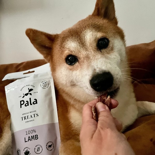 Hund geniest Pala Treats 100% Lamb