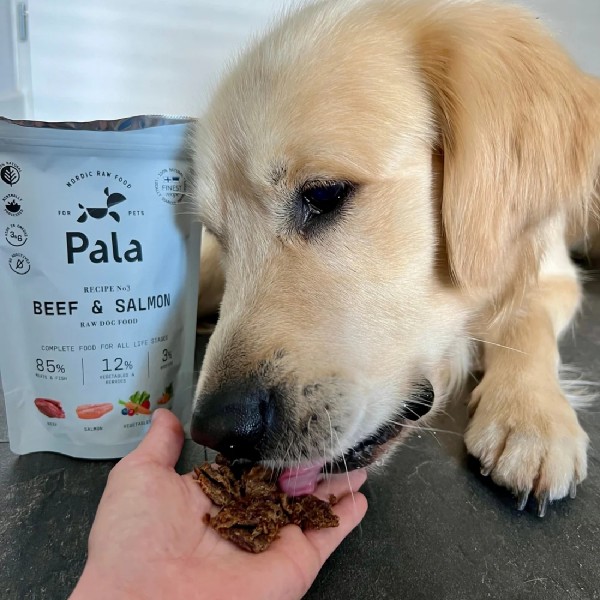 Pala No.3 Rind & Lachs Trockenbarf Hundefutter als Hundeleckerli