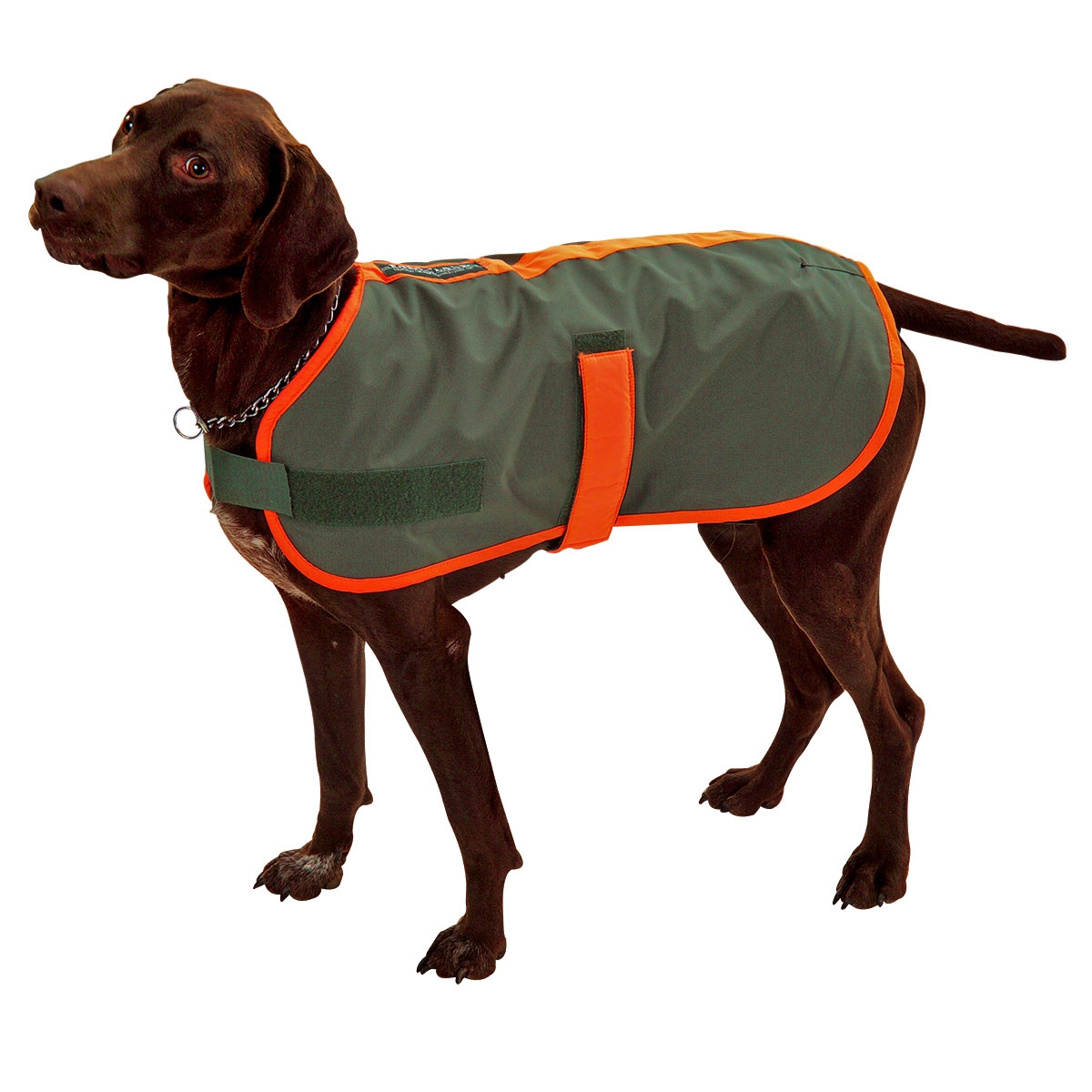 Dog & Field 2-in-1 Wasserdichter Hundemantel Größe XXL – Mit Mikrofaser-Innenfutter & Klettverschluss, Ideal Für Nasse Tage & Arbeit Im Feld