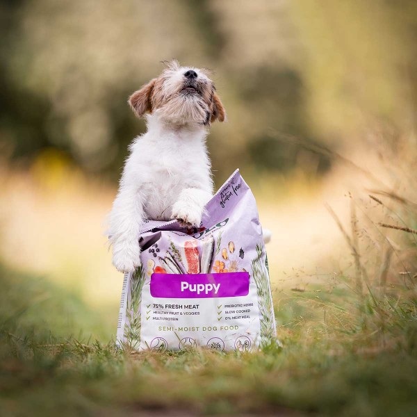 YDOLO Puppy - natürliches Trockenfutter für Welpen und junge Hunde