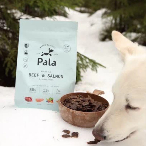 Pala No.3 Rind & Lachs Trockenbarf Hundefutter Fütterung Bild 2