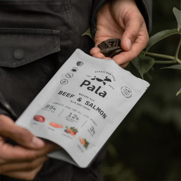 Pala No.3 Rind & Lachs Trockenfutter für Hunde 100g Packung - ideal für Unterwegs