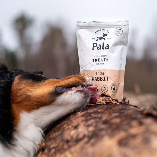 Pala Treats 100% Rabbit / Kaninchen - Hundeleckerli