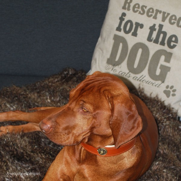 Kissen "Reserviert für den Hund" Hundekissen (Ambiente)