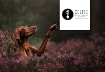 Celtic Connection Trockenfutter für Hunde