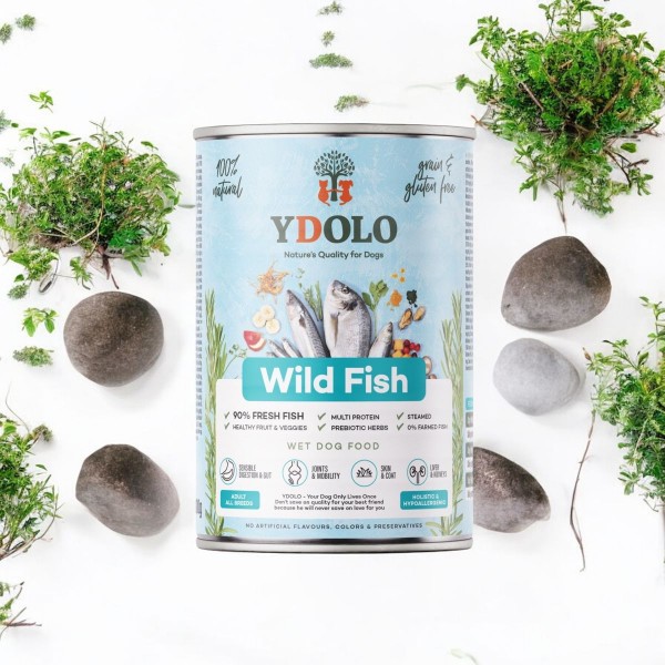 YDOLO Wild-Fisch - Nassfutter als Hundefutter (Bild 2)