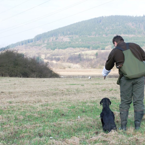 Markierungsfahnen - Einweisen - 1. Voran auf Dummy bei Fahne