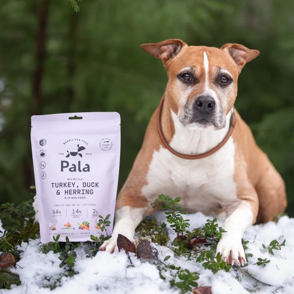 Pala No.6 Pute, Ente & Hering Trockenbarf - Trockenfutter mit Hund