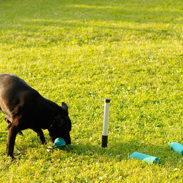 Marking Stick - Dummytraining