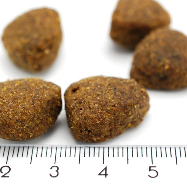 Bellfor Hundefutter - Gutshof-Schmaus Trockenfutter Pelletansicht