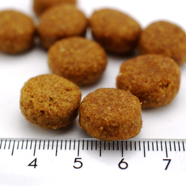 Canavit Natural Health Lamm & Reis - Trockenfutter als Hundefutter (Pelletdetail)