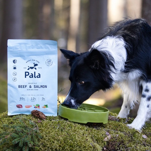 Pala No.3 Rind & Lachs Trockenbarf Hundefutter Fütterung Bild 1