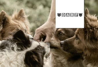 DARF Trockenfutter für Hunde