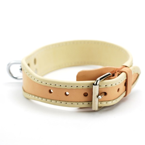 Fährten- und Schweisshalsband aus Leder (Bild 3)