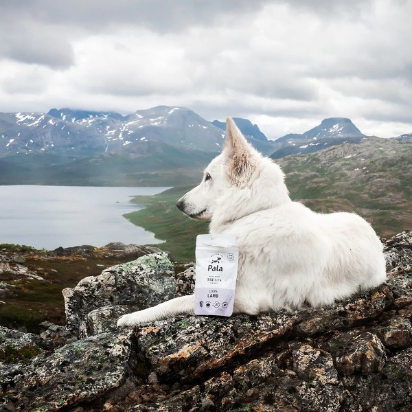 Pala Treats 100% Lamb / Lamm 100g Packung - ideal für unterwegs