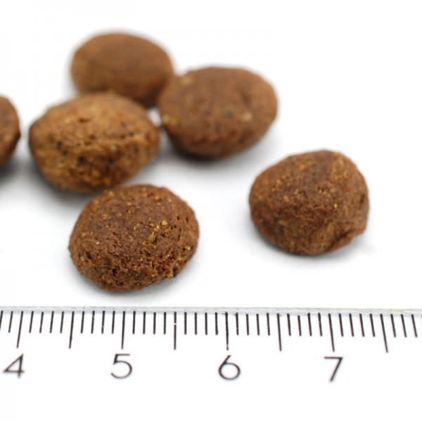 Farrado Forelle mit Kartoffeln und Früchten - Trockenfutter als Hundefutter (Pelletdetail)